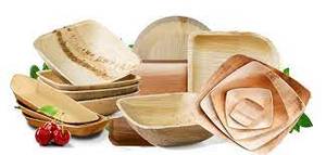 Premium Biodegradable Areca Leaf <b>Plates</b> - Eco-Friendly <b>Disposable</b> Dinner <b>Plates</b> for Parties & Events - Product Image 4