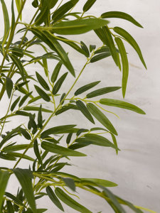 Mini-herbe de <span class=keywords><strong>bambou</strong></span> artificielle ultra-réaliste <span class=keywords><strong>en</strong></span> <span class=keywords><strong>pot</strong></span> - Fausses plantes vertes <span class=keywords><strong>en</strong></span> jade pour l'aménagement de petits espaces et la décoration de table - Product Image 5