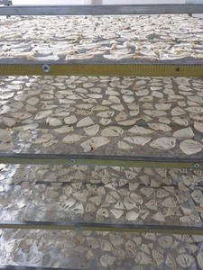 Guanábana seca suave seleccionada a mano, perfecta para estanterías de supermercados y plataformas de comercio electrónico que buscan productos exóticos vietnamitas. - Product Image 5