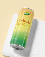 Fabricant de boissons Wana Tendance du Vietnam 320ml Boissons gazeuses aromatisées au soda au gingembre prébiotique