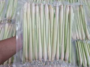 Premium Frozen <b>Lemongrass</b> Stalks IQF Food Grade Bulk Supply - Product Image 6
