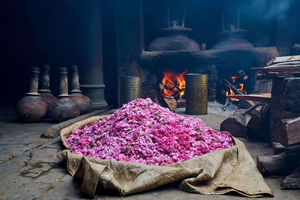 ALOURA OILS KABA ROSE Attar Oil-Water & Flower Infused with Heat Source for Perfumery & Aromatherapy Use Made in Uttar Pradesh - Product Image 5