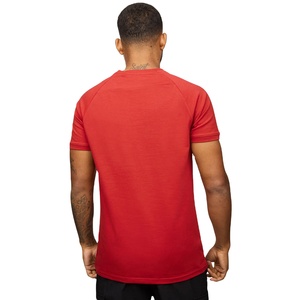 Camiseta de Hombre de Alta Calidad, 100% Algodón, Ligera, Transpirable, Corte Regular, Impresión Serigráfica, Colores Personalizados, Ropa Casual - Product Image 2