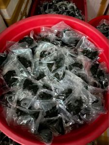 Uvas de Mar Deshidratadas de Vietnam, Alga Marina Verde Seca de Primera Calidad para Uso en Alimentos Saludables - Product Image 2