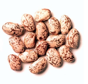 Haricots roux de qualité supérieure - Product Image 6