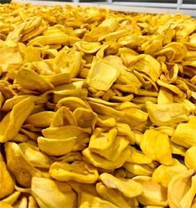 Chips de Jaca Seca Premium de Vietnam, Snack Tropical para Compradores Mayoristas y Comercio Internacional - Product Image 6
