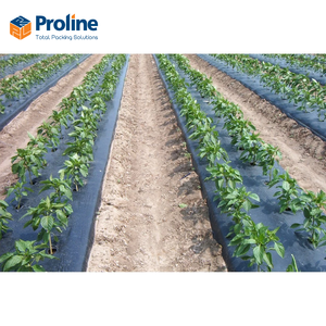 Film de paillage agricole multicouche haute résistance en PE/HDPE, feuille plastique 0,01-0,20 mm d'épaisseur, origine Vietnam, pour culture de légumes - Product Image 4