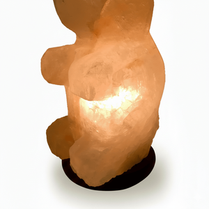 Lámpara de Mesa Ecológica con Forma de Animal Tallada a Mano en Sal del Himalaya, con Diseño Moderno para Decoración del Hogar - Product Image 2