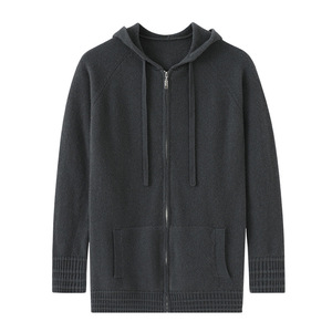 Pull à capuche zippé en maille pour homme, couleur unie, décontracté, pour l'automne, manches longues, avec poches - Product Image 1