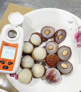 Lychees entiers surgelés IQF, emballage en vrac, qualité export, 10,20 kg, fruits surgelés - Mme Tarina - Product Image 6