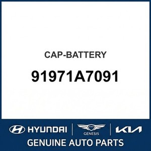 Nouvelles batteries Forte 91971A7091 - Product Image 1