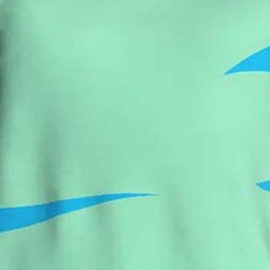Maillot de sport personnalisé moderne pour équipes de basketball et de football, en tissu anti-humidité, idéal pour les écoles et les clubs - Product Image 6