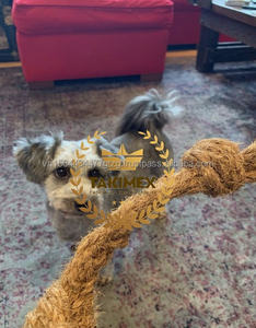 Vietnamese Coconut Husk Chew <b>Rope</b> Bulk Supply <b>for</b> Pet Retailers - Product Image 3