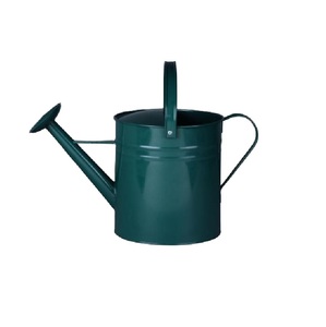 Arrosoir à fleurs exclusif vert avec revêtement, pour la maison et le jardin, arrosoir extérieur vintage en métal, arrosoir facile à remplir - Product Image 1