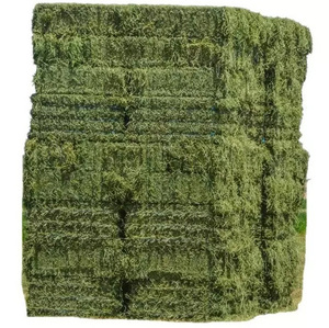 Heno de alfalfa en pacas comprimidas, precio de exportación directo de fábrica para compradores de alimento para ganado en el extranjero y alimento industrial para animales. - Product Image 5