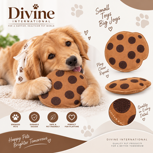 Proveedor de Juguetes para Mascotas de Cuero de Gamuza para Importadores y Distribuidores de Divine International - Product Image 5
