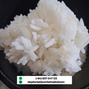 Riz Jasmin à Grains Longs DT8 Pur Qualité Supérieure 5% Brisures du Vietnam - Product Image 2