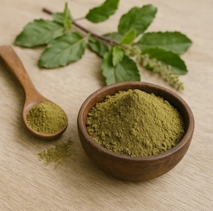 Poudre de feuilles de Tulsi 100% naturelle et riche en nutriments, de qualité alimentaire, aide à maintenir l'équilibre naturel du corps et la santé. - Product Image 6