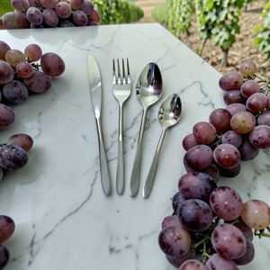 <b>Silver</b> Plated Cutlery Set Mirror Finish Long Handle Minimalist Design Dishwasher Safe Wedding Tableware - Product Image 1