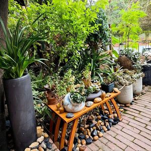 18 Libbre di Ciottoli e Sassi Naturali Lucidati da 1.6-2.4 Pollici per Decorazioni Acquario, Riempimenti Vasi e Decorazioni Piante - Product Image 5