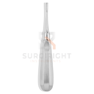 Elevador dental quirúrgico recto mediano de acero inoxidable con certificación CE, modelo Blush Surgical SI-OIS-0001, 1 año de garantía - Product Image 5