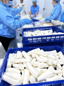DISPONIBLE |   Blocs de manioc congelés coupés, racines de yucca pour la cuisine des restaurants, hôtels et foyers, fournis par Blue Lotus - Product Image 5