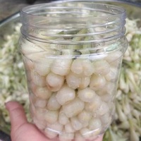 Poireaux marinés de qualité supérieure en saumure, légumes frais et croustillants conservés pour l'exportation en gros