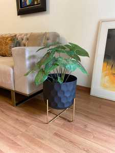 Minimalist Black Iron Flower Pot Gold Stand Drainage Hole Eco-Friendly Indoor Green Plants Desktop Planter Powder Coated Finish - Product Image 2
