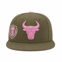 Casquettes de baseball ajustées à visière plate et dos fermé, nouveau style, casquettes structurées pour uniforme d'équipe, casquette originale – Ventes directes usine