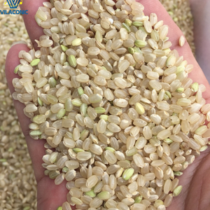 ข้าวญี่ปุ่นบราวน์คุณภาพสูง ข้าวกล้องนิ่มเม็ดกลม คุณค่าทางโภชนาการสูง สำหรับส่งออก - Product Image 3