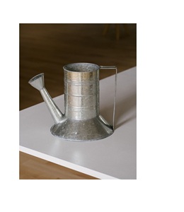 Luxury finish metal watering can for home decor plants long spout rustproof elegant durable watering <b>container</b> - Product Image 1