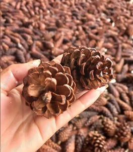 Décoration de Noël 2025 Les pommes de pin apportent une atmosphère chaleureuse à votre espace et à votre famille - Product Image 6