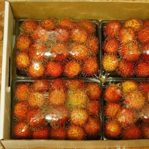 Ramboutan Naturel IQF Congelé en Gros du Vietnam à Prix Bas, Délicieux et de la Marque Viet Delta - Product Image 6