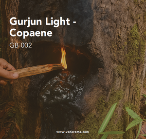 Aceite Aromático Premium Gurjun Light - Copaeno (GB-002) Aroma a Vainilla - Product Image 2