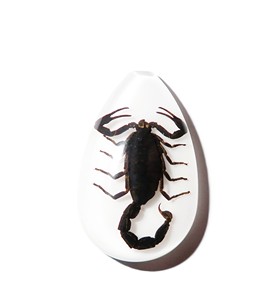 Black Scorpion Real Specimen Plastic Cabochon Pear Cut <b>Top</b> 46x30 mm White Flat Bottom for Crafts and Jewelry Making - Product Image 2