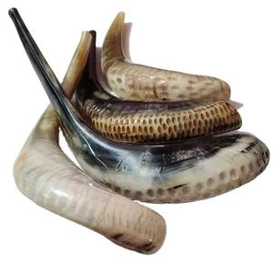 Corne de bélier de haute qualité Shofar artisanat naturel exclusif, produit en gros à prix réduit corne de bélier shofar - Product Image 1