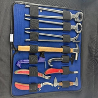 Kit d'outils de ferrage 10 pièces avec sac de transport - Ensemble professionnel d'entretien des sabots, qualité supérieure, instruments approuvés ISO/CE, prix de gros