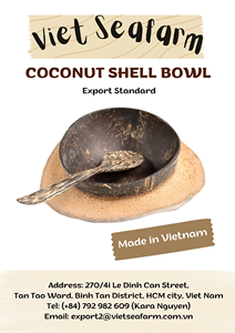 2025 chaud! Ensemble de service en bois vintage écologique, bol en coquille de noix de coco de haute qualité, fabriqué à la main au Vietnam, personnalisé pour la décoration - Product Image 6