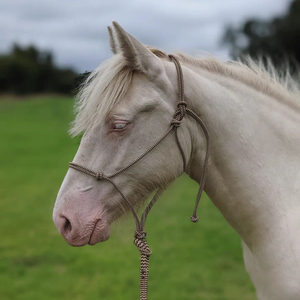 Cabestro de cuerda OEM para caballo con anillas de latón, trenzado, para equitación de rancho, con logotipo personalizado, proveedor mayorista - Product Image 2