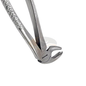 Forceps d'extraction dentaire en acier inoxydable pour molaires inférieures – Instruments chirurgicaux professionnels pour chirurgie buccale et retrait dentaire - Product Image 2