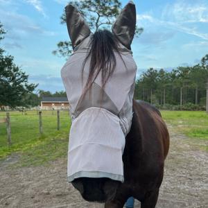 Malla reflectante de alta visibilidad para mosquitera de caballo, protector facial ecuestre, seguridad nocturna, comodidad, cubierta equina - Product Image 4