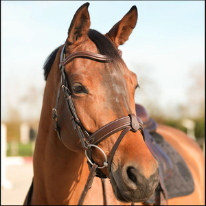 Handcrafted Leather English Style Horse Bridle with Adjustable Straps 2x3x2m Size for Riding Factory Made Model SULEMAN 0016 - Product Image 6