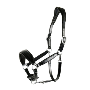 Harnais de cheval en cuir noir avec boucles et anneaux métalliques pour l'équitation et l'entraînement - Product Image 1