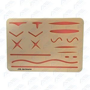 Kit d'entraînement à la suture avec coussinet de suture, instruments chirurgicaux médicaux en acier inoxydable, forceps pour la formation en chirurgie mineure - Product Image 4