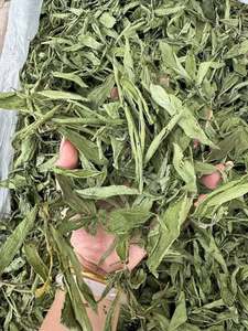 Hojas de Stevia Secas Naturales Directas de Fábrica, 2oz, Envasado al Vacío para Elaboración Casera de Cerveza y Té Detox - Product Image 2