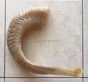 Cuerno de Shofar de carnero Natural de la mejor calidad, estilo Animal religioso pulido, artesanías Z a la venta - Product Image 6