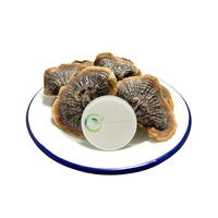 Boire du thé aux champignons Reishi séchés à bords dorés
