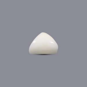 Natural White Coral Oval Cabochon 6.15 Carat Loose Gemstone 7mm Certified Wholesale - Product Image 3