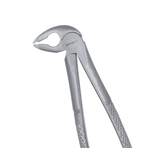 Forceps dentaires manuels en acier inoxydable allemand de haute qualité pour l'extraction des dents – Instruments chirurgicaux pour dentistes - Product Image 2