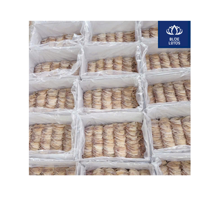Calamars Séchés Écologiques de Qualité Supérieure – Meilleures Ventes, À Essayer Absolument, Purifiés, Conformes aux Normes UE, Emballage Sous Vide, Vente en Gros Directe - Product Image 2